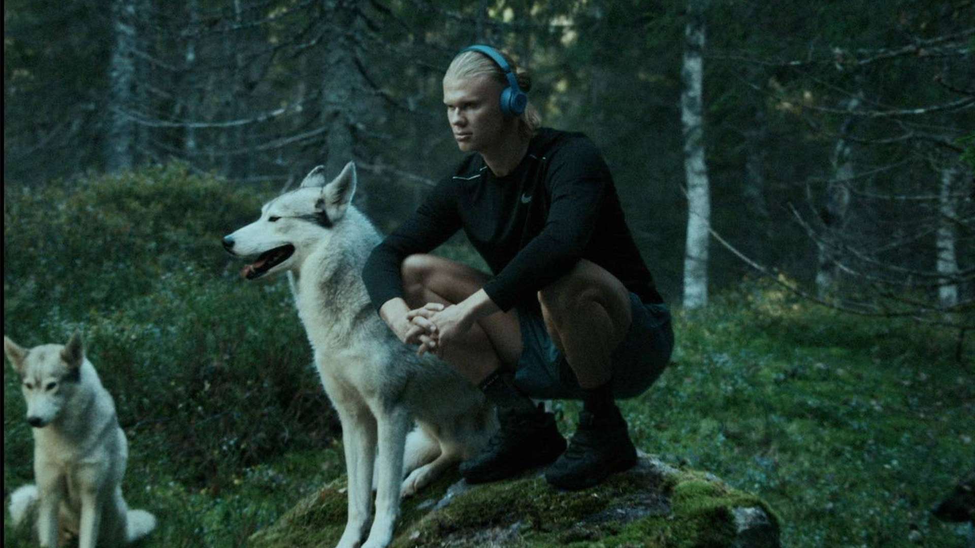 德赫亞的質 德赫亞的質